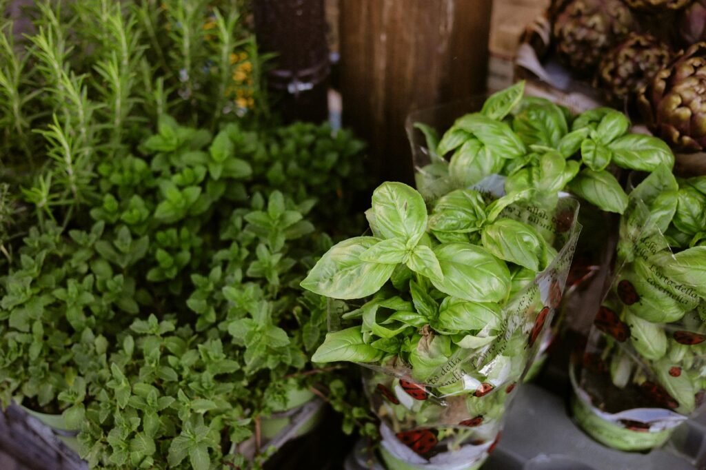 A grocery receipt beside packaged herbs and small potted herbs on a table
