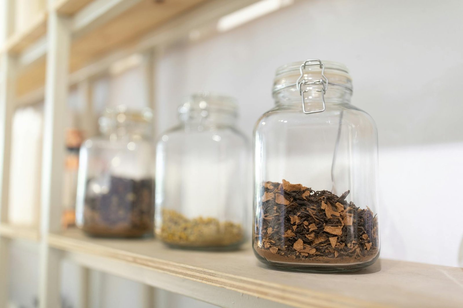 The Beginner’s Guide to 10 Everyday Herbs and Their Traditional Uses