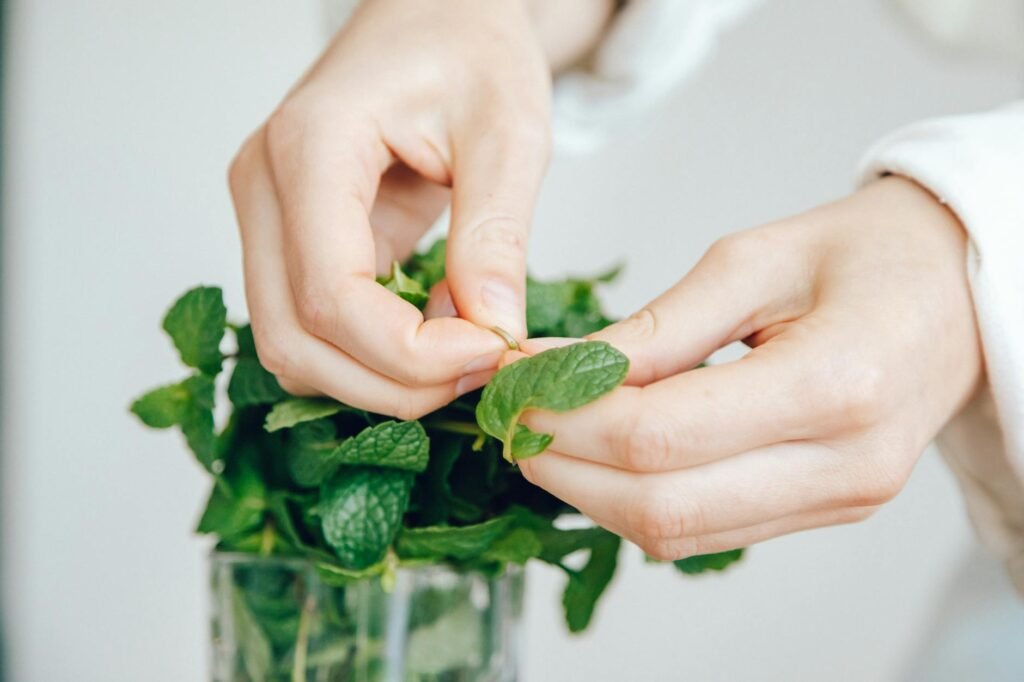 A person cutting fresh herbs with scissors into a bowl