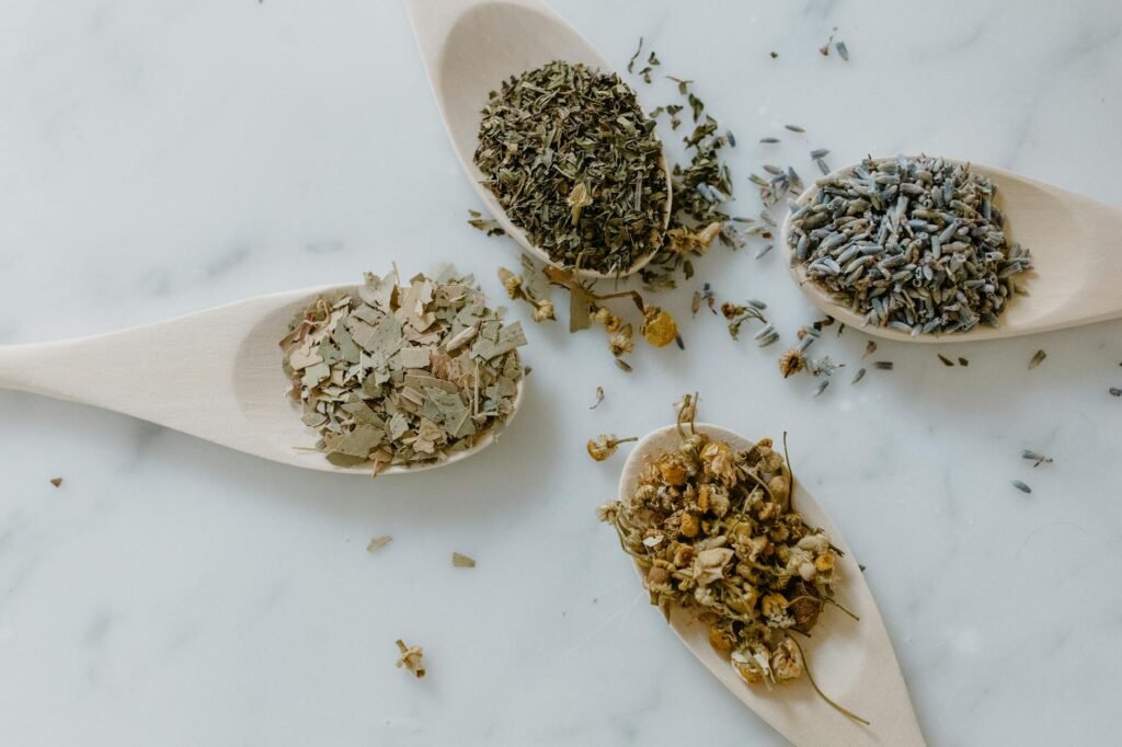 A flat lay of chamomile, peppermint, ginger, and lemon balm arranged beside a small notepad.
