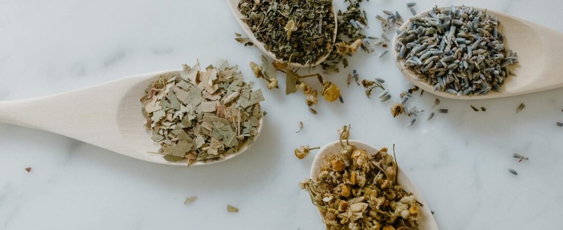 The Gentle Herb Guide: How Beginners Can Compare Chamomile, Peppermint, Ginger, and Lemon Balm