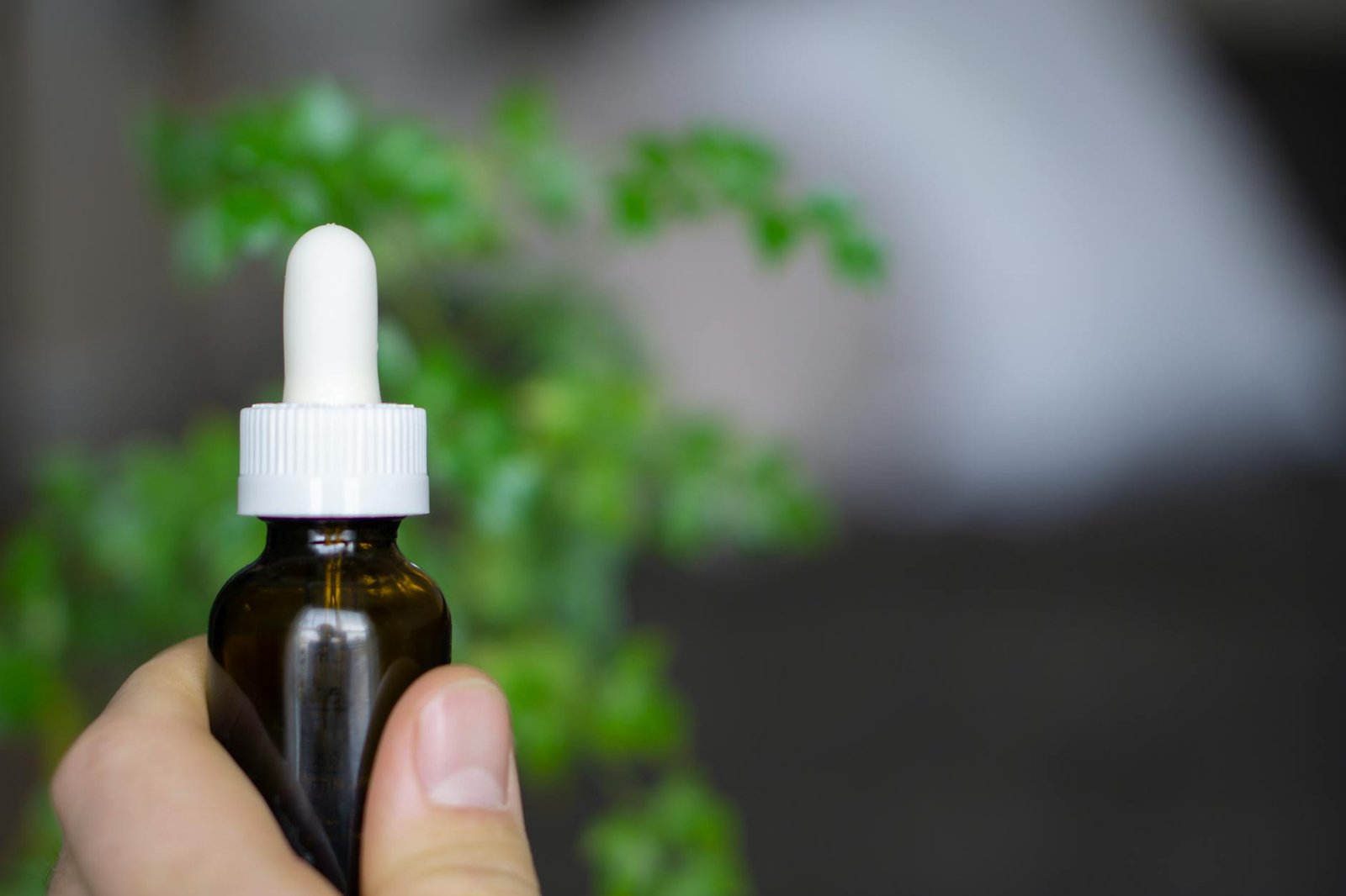 Why So Many Herbal Products Look Similar but Vary Greatly in Quality