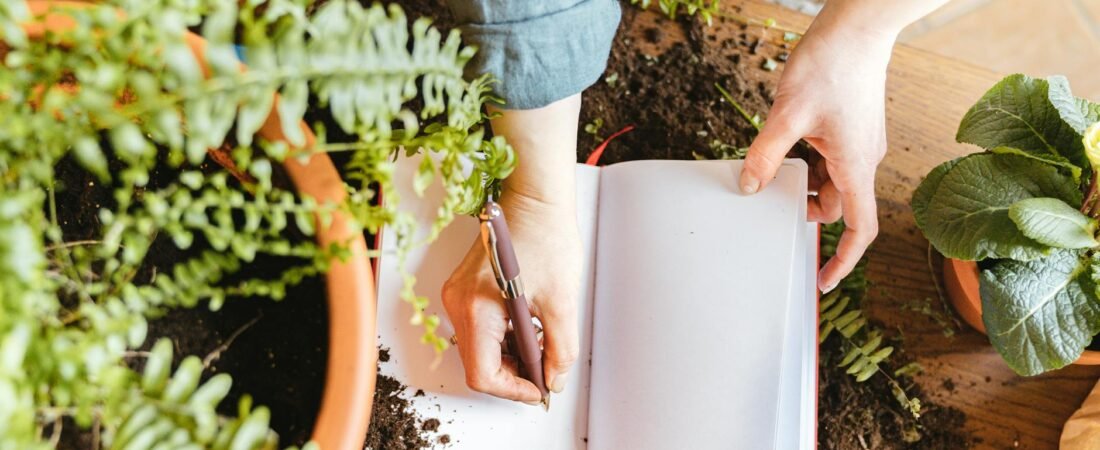 Building a Personal Herb Journal: A Practical Way to Track Learning and Observations