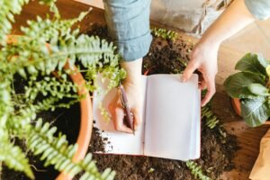 Building a Personal Herb Journal: A Practical Way to Track Learning and Observations